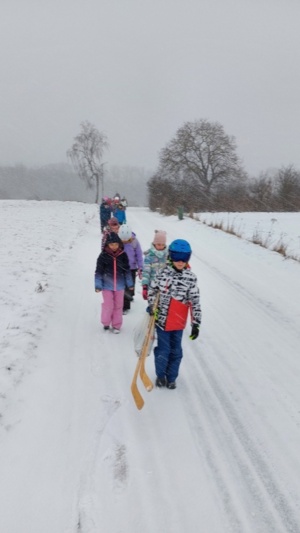Veverky a Vlci na bruslích