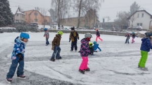 Veverky a Vlci na bruslích