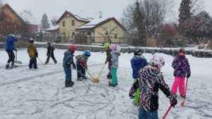 Veverky a Vlci na bruslích